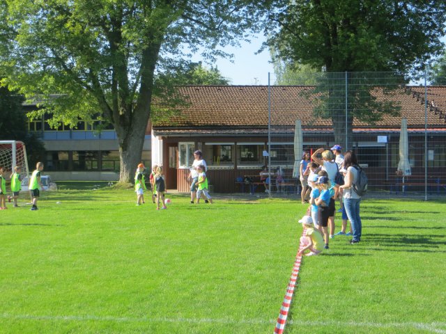 IMG_8252